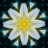 Crown Jewel Chakra